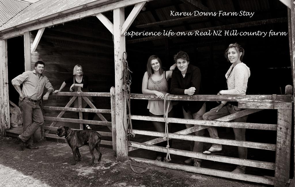 Karetu Downs Farm Stay Hawarden Exterior photo